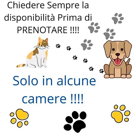 Bed & Breakfast Terra Ciociara Frosinone
